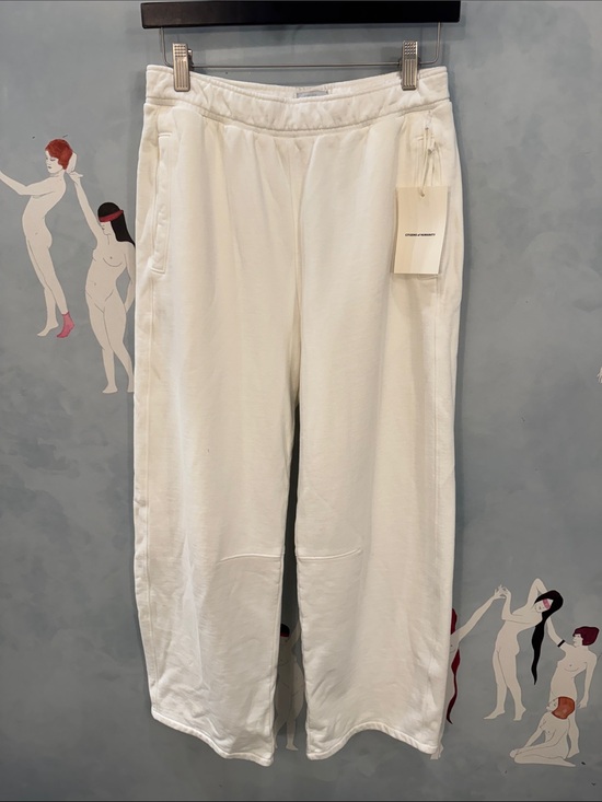 Citizens Of Humanity Pants - Citizens of Humanity Miro Sweatpants in Pashmina